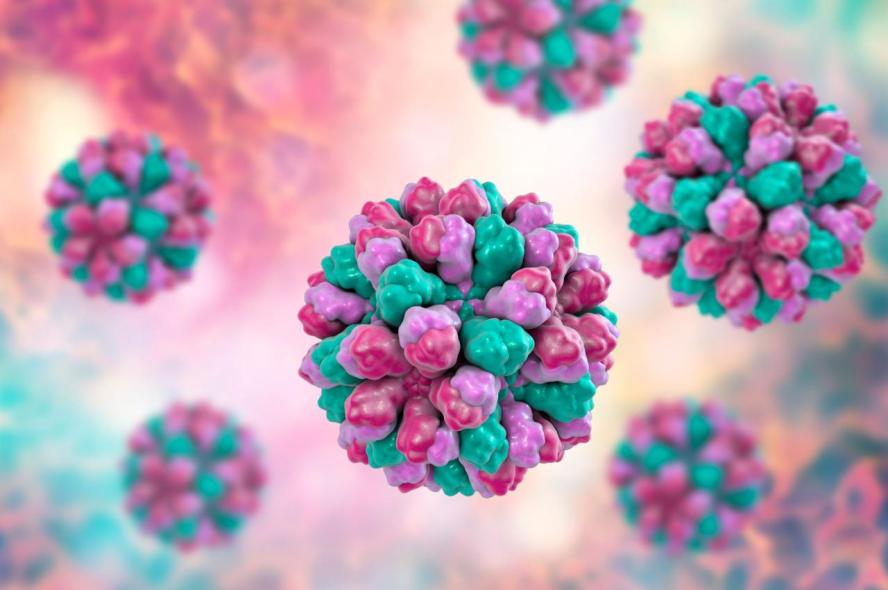 Norovirus - What is it? - Birchwood Cottages